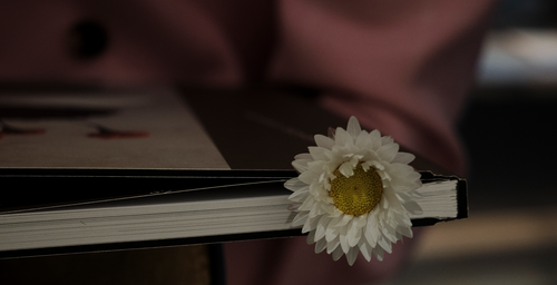 BOOK SIGNINGS | LOUIS-GÉRAUD CASTOR