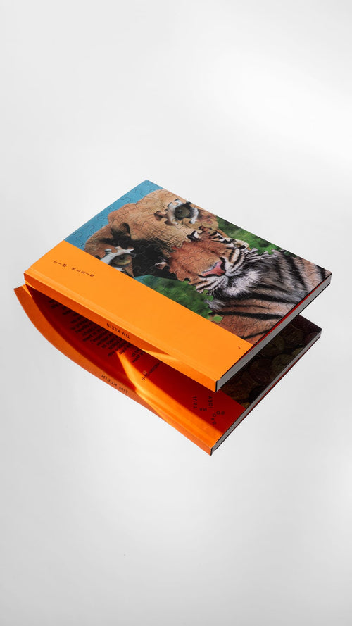 TIM KLEIN - PUZZLE MONTAGES-JUST AN IDEA BOOKS-3