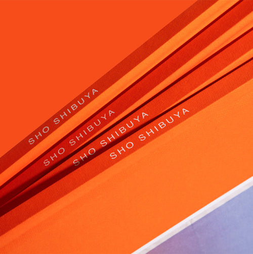 Sho Shibuya-JUST AN IDEA BOOKS-2