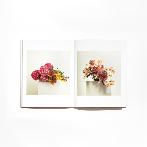 DR LISA COOPER-JUST AN IDEA BOOKS-4