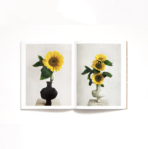 Louis-Géraud Castor-JUST AN IDEA BOOKS-5