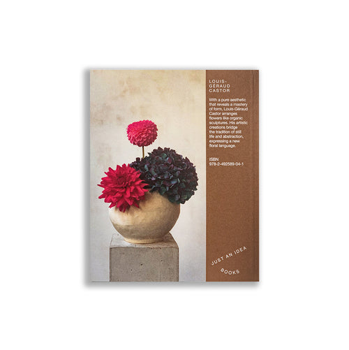 Louis-Géraud Castor-JUST AN IDEA BOOKS-4