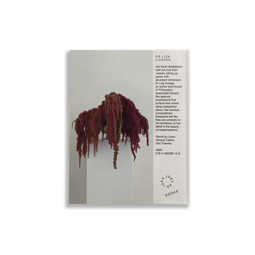 DR LISA COOPER-JUST AN IDEA BOOKS-5